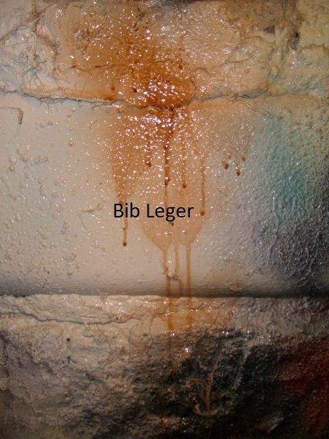 [Bib Leger]